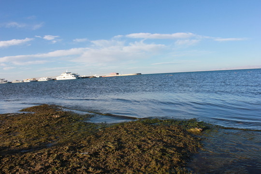 青海湖