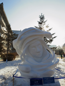 2016 國際大學(xué)生雪雕大賽