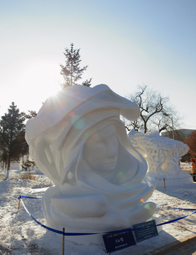 2016國(guó)際大學(xué)生雪雕大賽