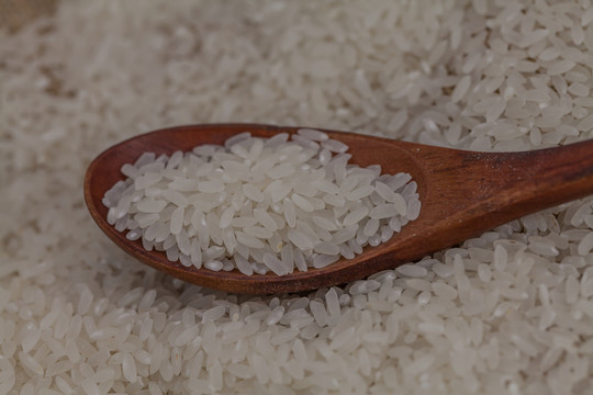 生米