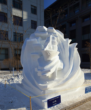 2016 國際大學(xué)生雪雕大賽
