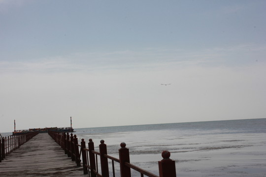 青海湖