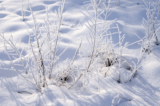 雪