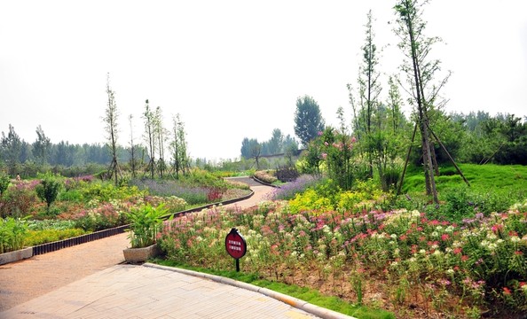 公園風(fēng)景   園林景觀