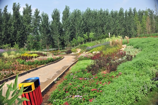 公園風(fēng)景