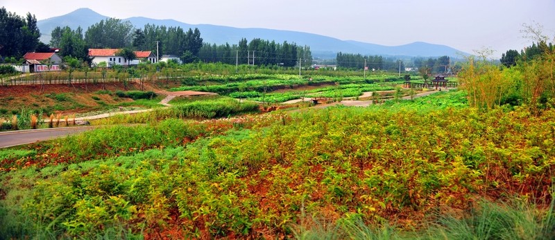 公園風(fēng)景  園林景觀