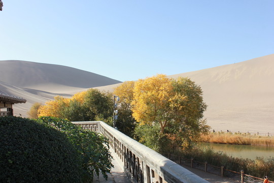 沙漠風景
