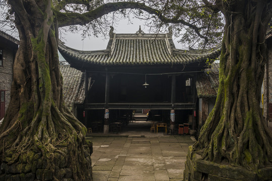 老槐樹下的戲臺
