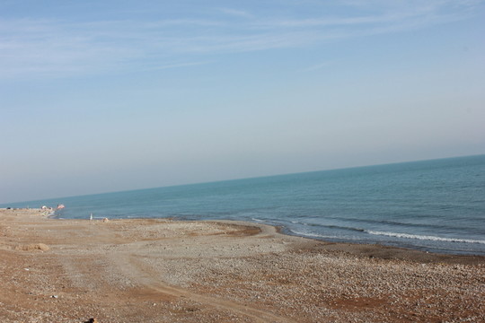 青海湖