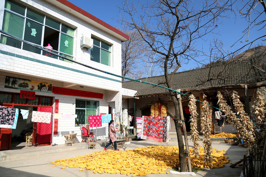 農(nóng)家院