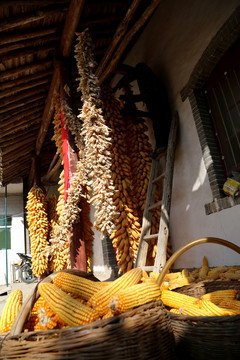 農(nóng)家院