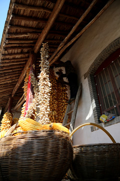 農(nóng)家院