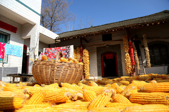 農(nóng)家院