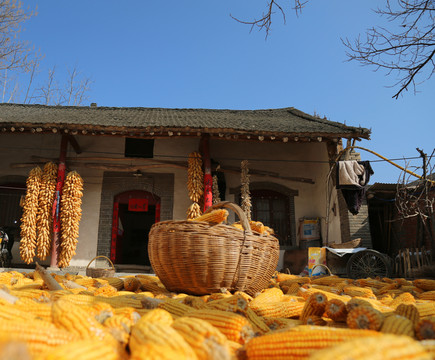 農(nóng)家院