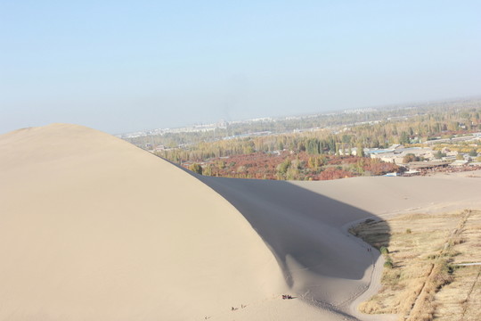 沙漠