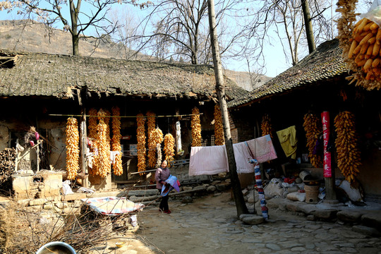 農(nóng)家院
