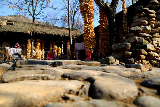 農(nóng)家院
