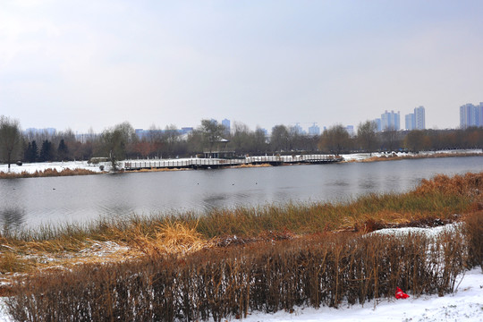 蒲河岸邊雪景