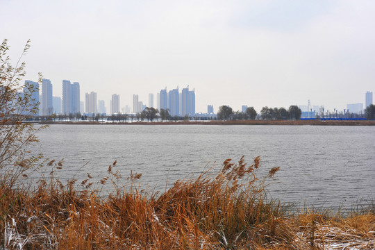 蒲河岸邊雪景