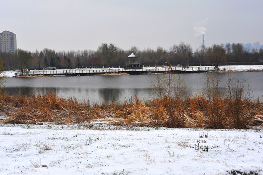 蒲河岸邊雪景