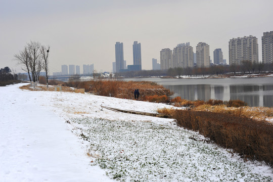 蒲河岸邊雪景
