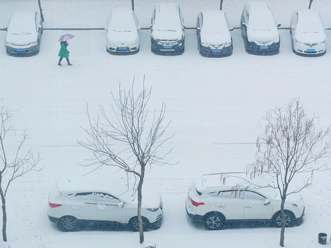 雪景 行人