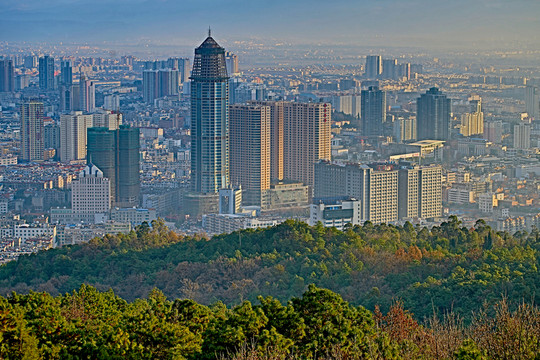 城市