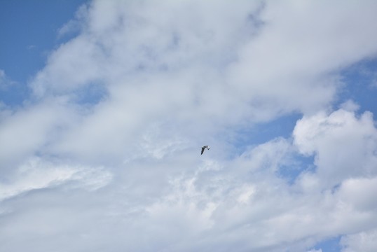 納木錯(cuò)的天空