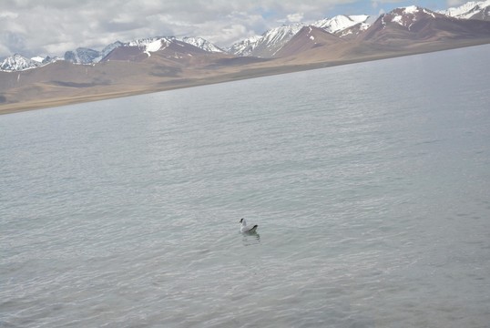 納木錯湖