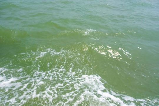 海水