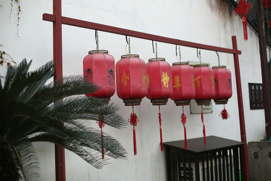 魯迅景區(qū)紅燈籠