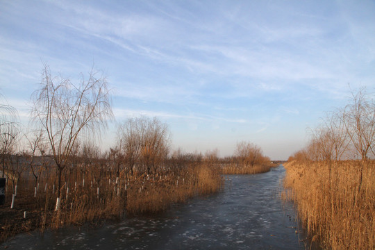 濕地公園