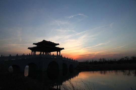 夕陽 傍晚 濕地公園