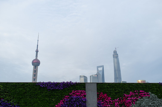 上海陸家嘴風光