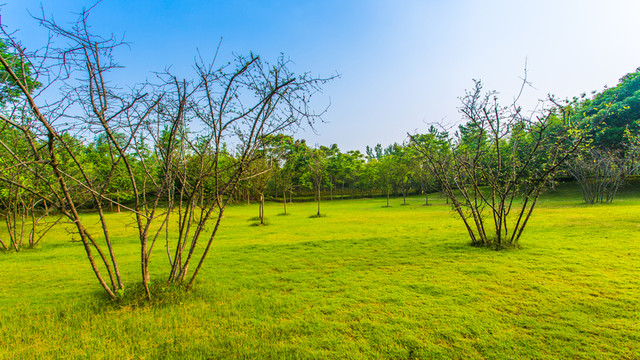 雙流濕地公園