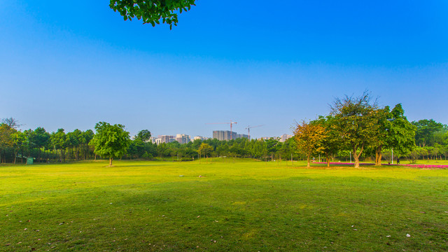 雙流濕地公園