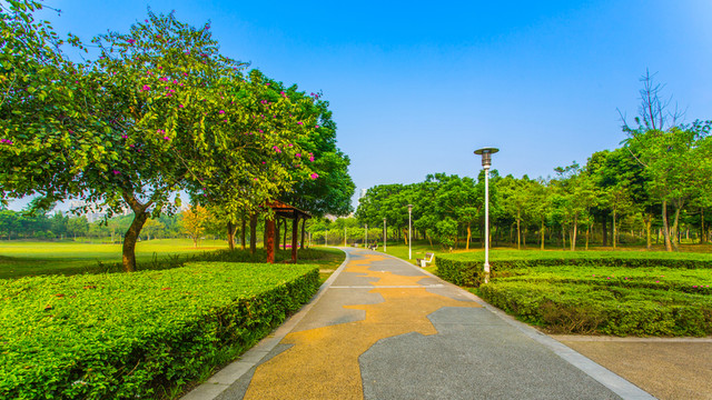 雙流濕地公園
