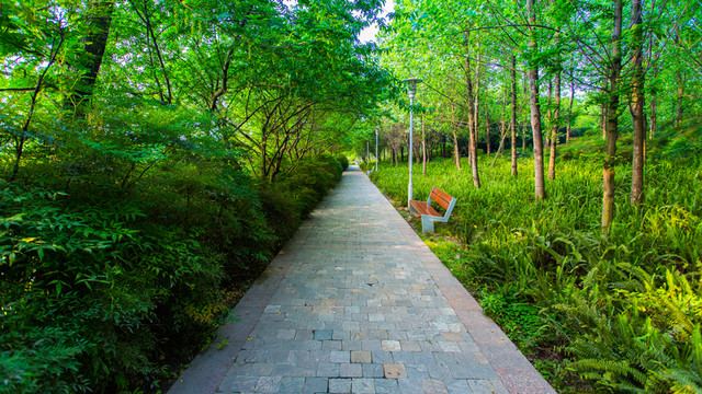 雙流濕地公園