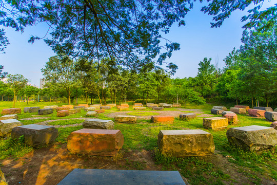 雙流濕地公園