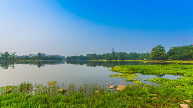 雙流濕地公園