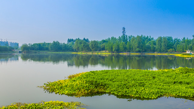 雙流濕地公園