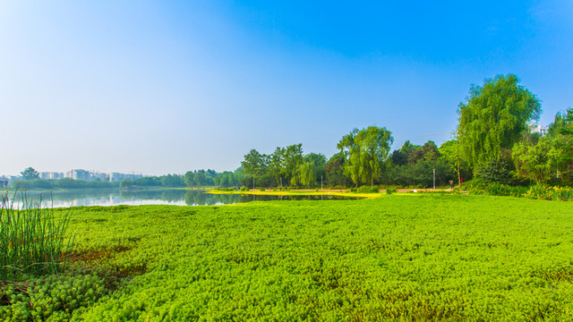 雙流濕地公園
