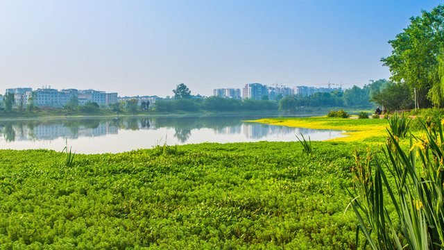 雙流濕地公園