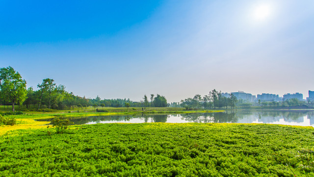 雙流濕地公園