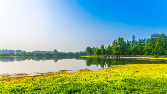 雙流濕地公園