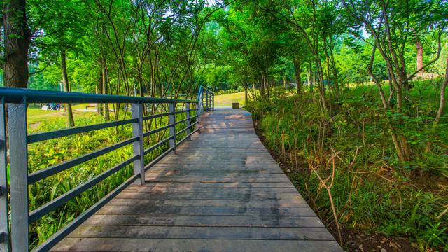 雙流濕地公園