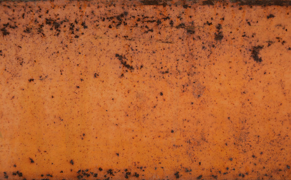 鐵皮