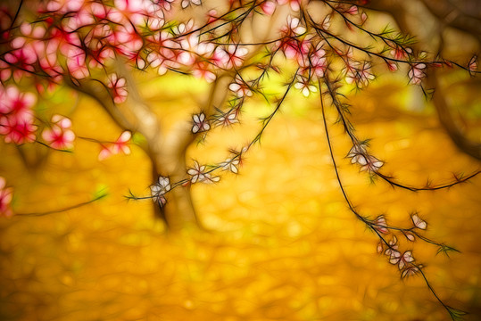 花枝 裝飾畫