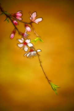 花枝 裝飾畫 不分層