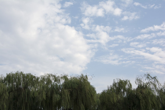 美麗的黃河